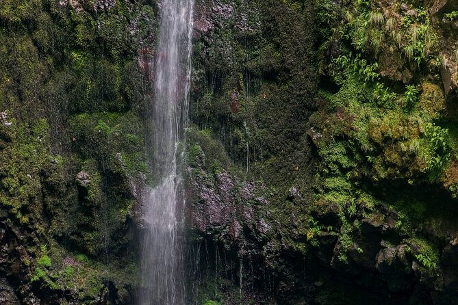 Caldeirão Verde Levadas Walk in Madeira - Clothing and fitness: what you really need