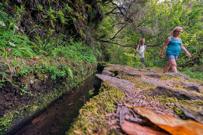 Caldeirão Verde Levadas Walk in Madeira - How the experience handles weather and crowds