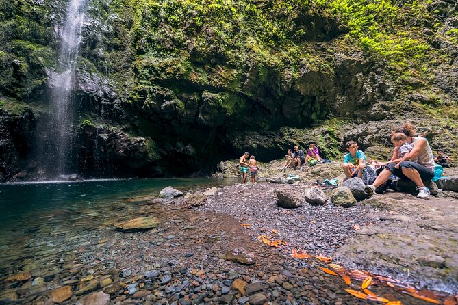 Caldeirão Verde Levadas Walk in Madeira - Is $52.86 a fair price?