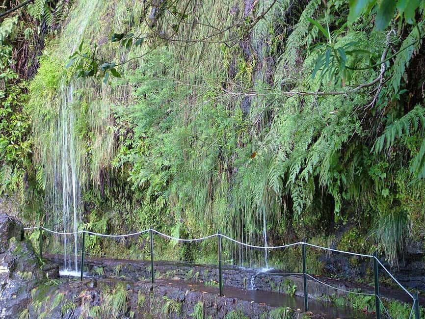 Caldeirão Verde: Queimadas PR9 Transfer and Self-Guided Hike - Who should book this hike?