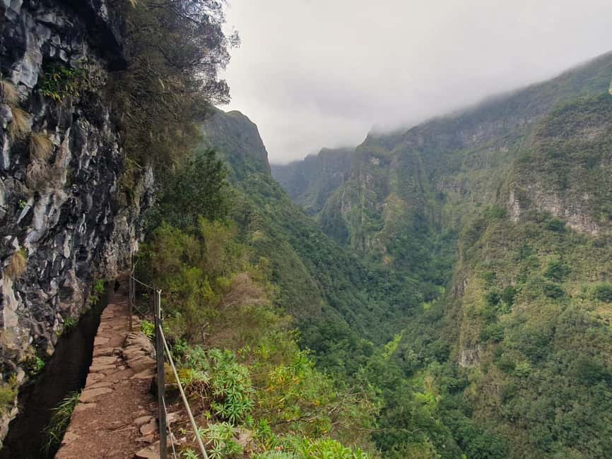 Caldeirão Verde: Queimadas PR9 Transfer and Self-Guided Hike - Walking into Madeira’s old Laurissilva Forest