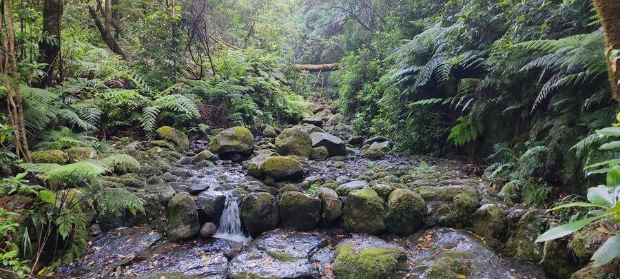 Caldeirão Verde: Queimadas PR9 Transfer and Self-Guided Hike - Is $38 a fair price?