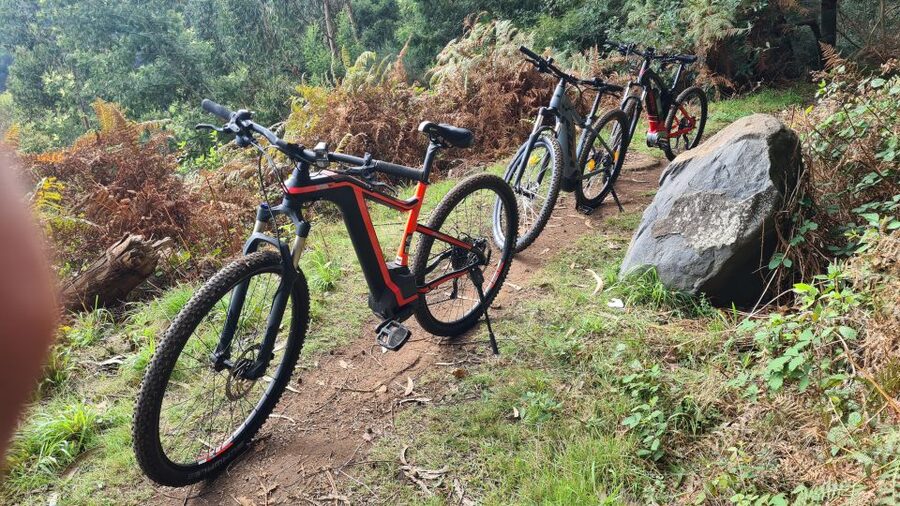 Camacha: Levada Trail e-Bike Guided Tour - Why this Camacha ride is worth your morning
