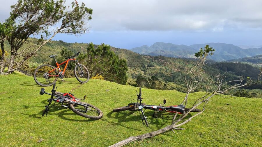 Camacha: Levada Trail e-Bike Guided Tour - Should you book the Camacha e-bike tour?