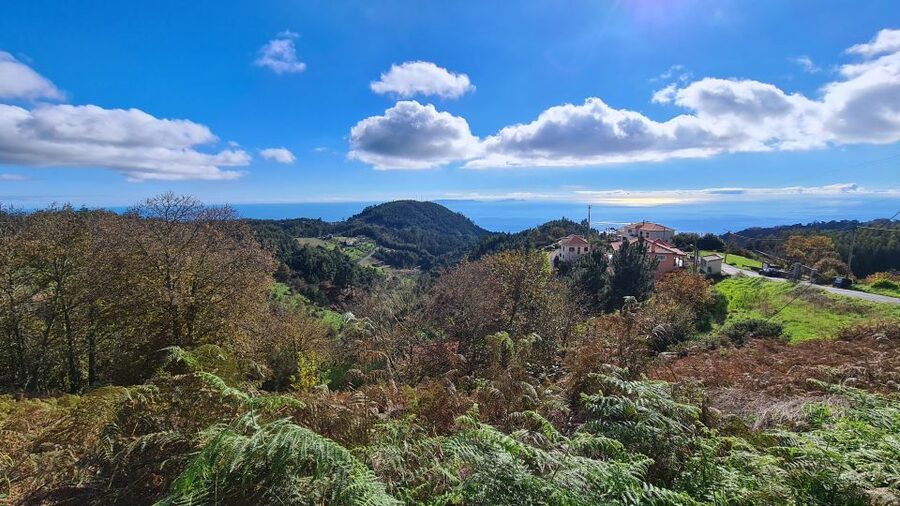 Camacha: Levada Trail e-Bike Guided Tour - The water mill, the unusual tree, and a sensible rest