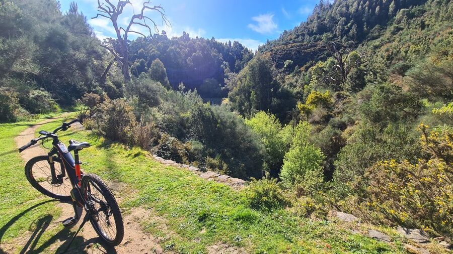 Camacha: Levada Trail e-Bike Guided Tour - Climbing toward Santo da Serra by e-bike