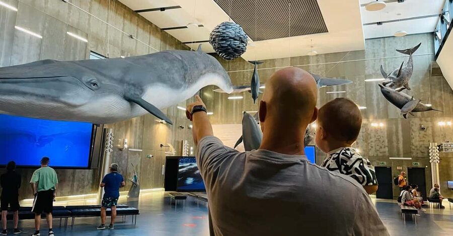 Caniçal : Madeira Whale Museum Entry ticket - How to get more from your visit