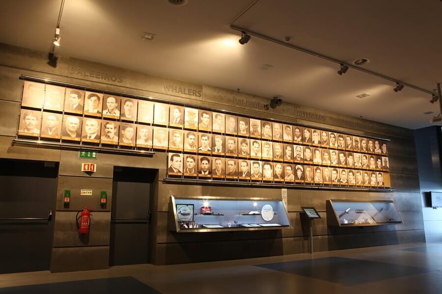 Caniçal : Madeira Whale Museum Entry ticket - From whaling museum to marine research center