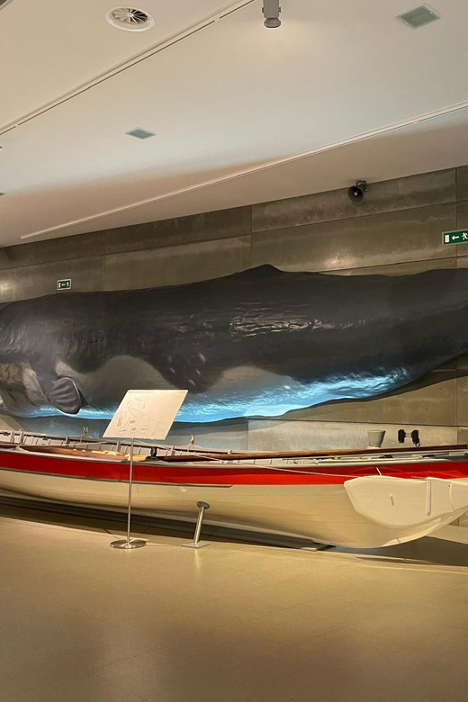 Caniçal : Madeira Whale Museum Entry ticket - What the $11 ticket gives you