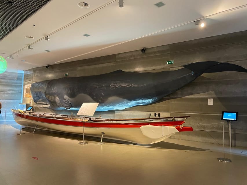 Caniçal : Madeira Whale Museum Entry ticket - Who will enjoy this museum most