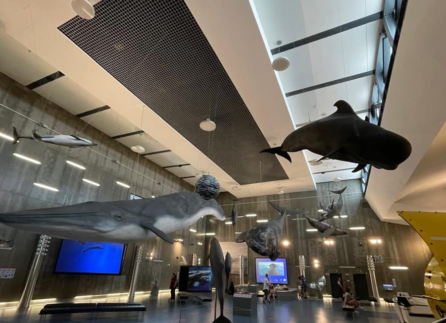 Caniçal : Madeira Whale Museum Entry ticket - Start with Madeira’s whaling past