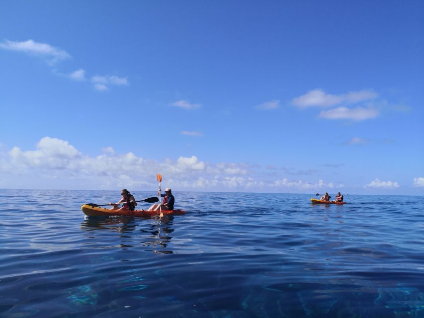 Caniço, Madeira: Marine Reserve Kayak & Snorkelling Tour - Is $57 a fair price?
