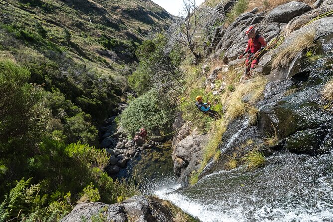 Canyoning in Madeira: Ideal for Beginners and Families - Why Madeira is a fine place to try canyoning