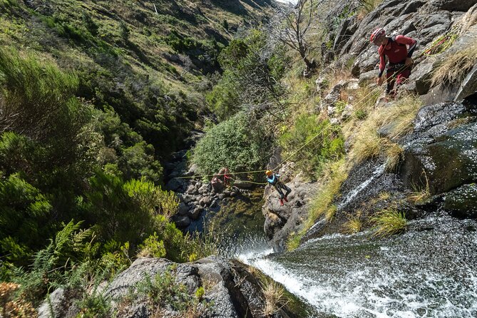 Canyoning in Madeira: Ribeira das Cales - Funchal Ecological Park - Rappelling, jumping, and swimming