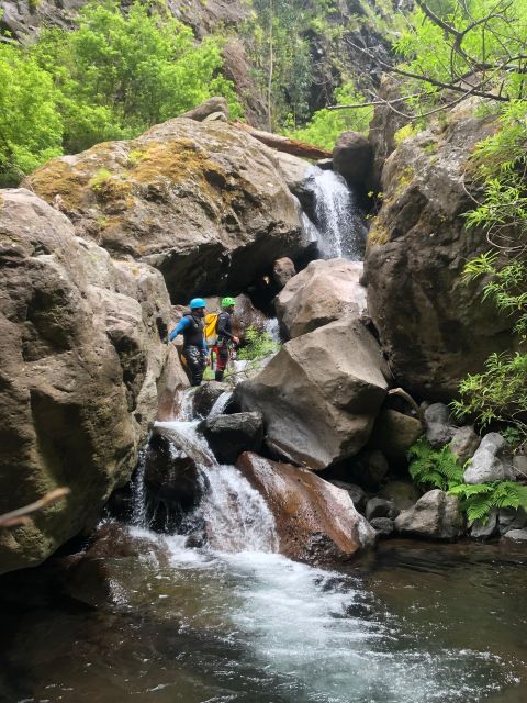 Canyoning Level 2 - Ribeira do Cidrão- Madeira Island - Why Ribeira do Cidrão makes a strong canyoning setting