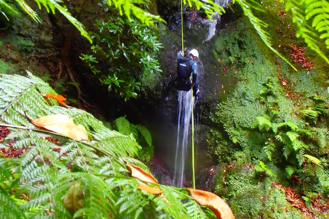 Canyoning Madeira Island - Level One - Timing, cancellation, and practical planning