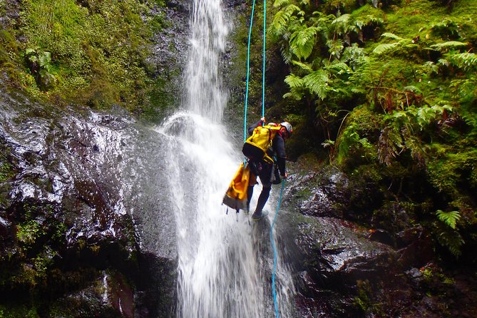 Canyoning Madeira Island - Level Two - What the $98.84 price covers