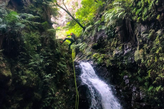 Canyoning Madeira Island - Level Two - Walking the stream before the first rappel