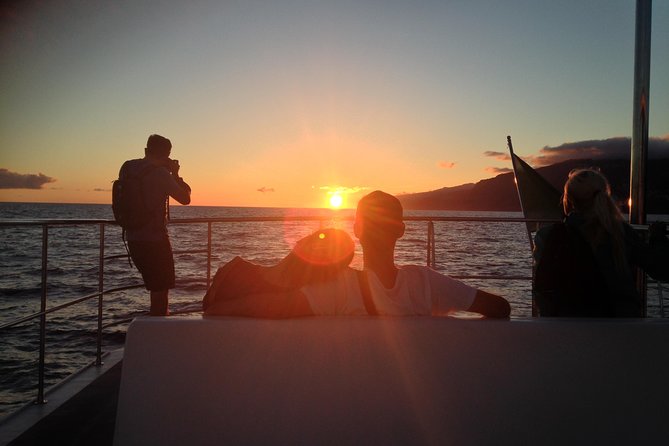 Catamaran Sunset Cruise from Funchal - Key things to know before sailing