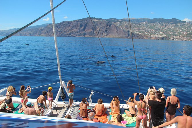 Catamaran Sunset Cruise from Funchal - Comfort, cold, and what to pack