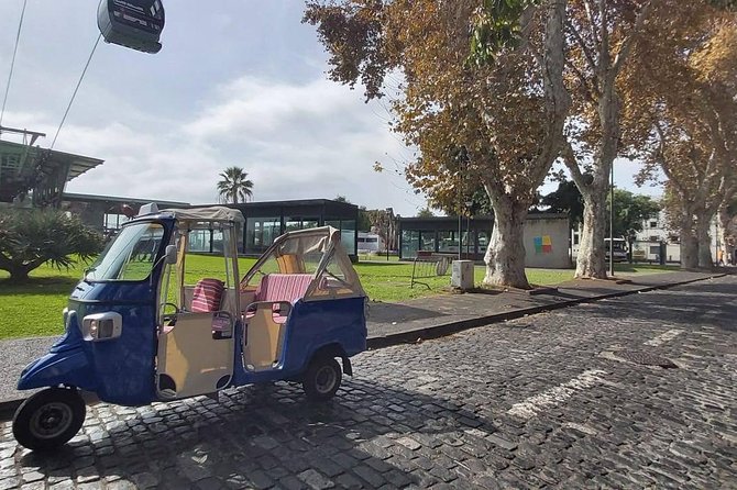 Christ King + Old Town tour by tuk-tuk - Miradouro do Pináculo above Funchal