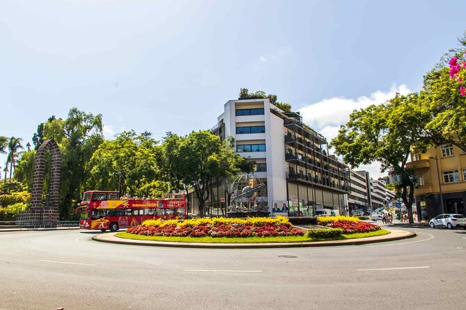 City Sightseeing Funchal Hop-On Hop-Off Bus Tour - Cruise-port arrival and practical timing