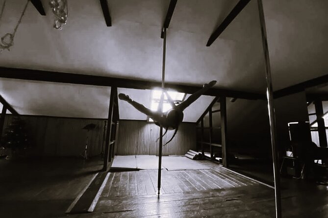 Dance Class (choose 1: Pole Dance, Burlesque or Aerial Silk/Hoop) - Aerial silk and hoop for a taste of circus movement