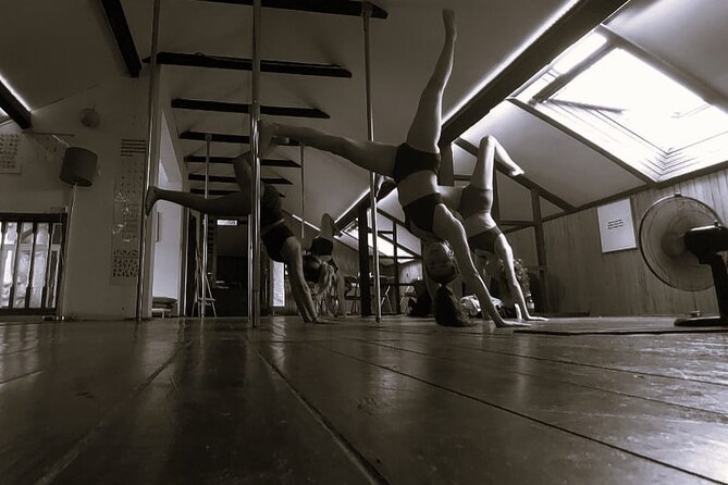 Dance Class (choose 1: Pole Dance, Burlesque or Aerial Silk/Hoop) - What your class may feel like from start to finish