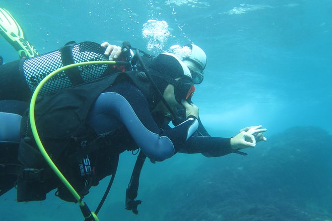 Discover Scuba Diving or Try dive - Why weather and site decisions matter
