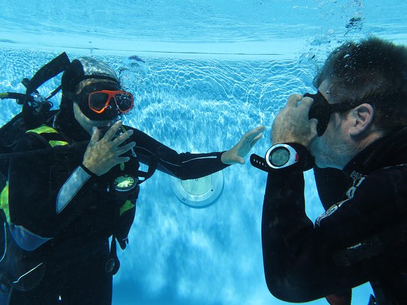 Discover Scuba Diving or Try dive - Who will enjoy this Madeira activity