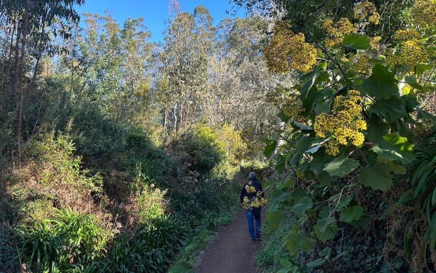 Discover the Paradise Valley - a quick escape for Everyone - Key points at a glance