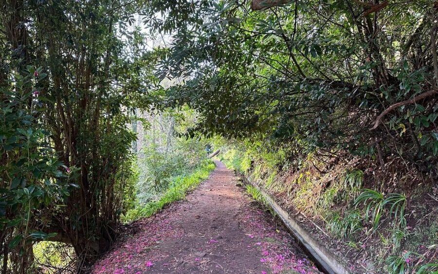 Discover the Paradise Valley - a quick escape for Everyone - Practical advice before you book