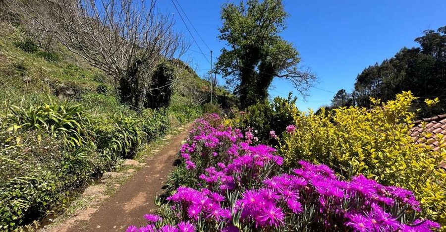 Discover the Paradise Valley - a quick escape for Everyone - Open views toward Camacha