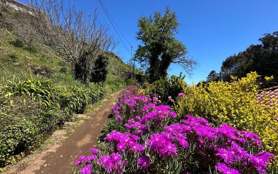 Discover the Paradise Valley - a quick escape for Everyone - Is $35 a fair price?