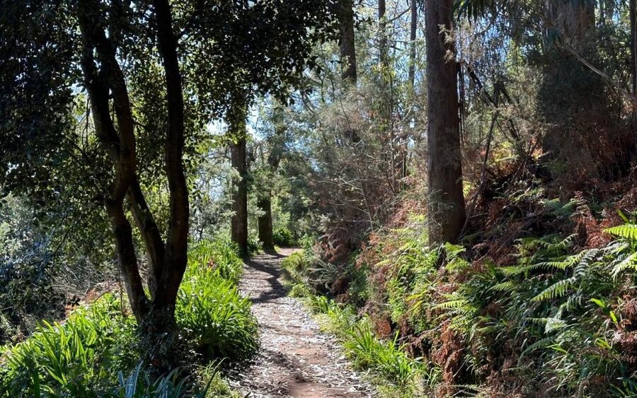 Discover the Paradise Valley - a quick escape for Everyone - Who will enjoy this Camacha walk?
