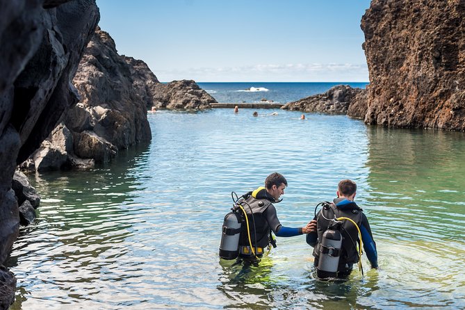 Diving in the Madeira Aquarium - What makes this Porto Moniz experience different