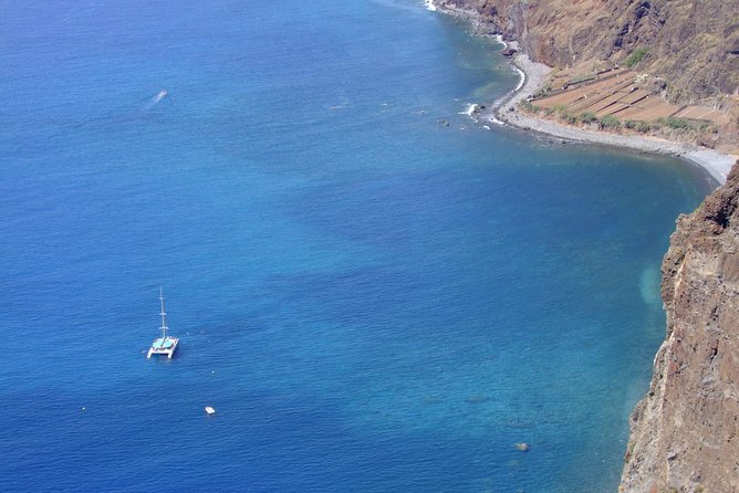 Dolphin and Whale Watching Catamaran Cruise from Funchal - What the boat is like with up to 180 people
