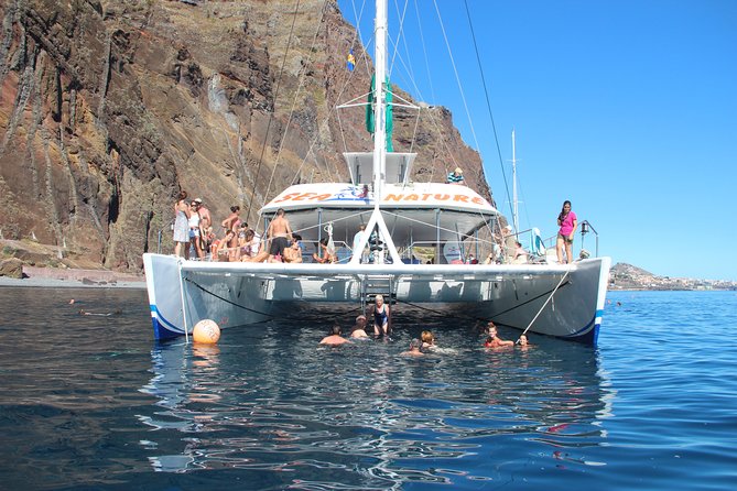 Dolphin and Whale Watching Catamaran Cruise from Funchal - The value of the $48.27 price