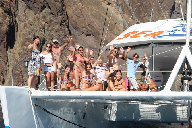 Dolphin and Whale Watching Catamaran Cruise from Funchal - Searching for dolphins and whales in open water