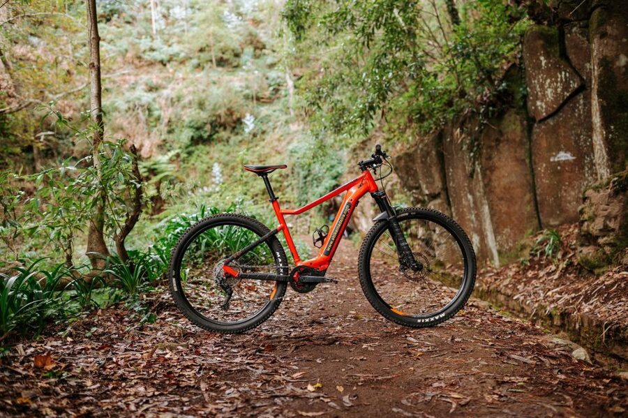 E-Bike Guided Tour - Mountain biking experience - Why the levadas make this ride special