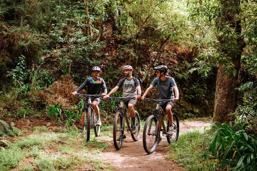 E-Bike Guided Tour - Mountain biking experience - The first trails: beautiful, but not always gentle