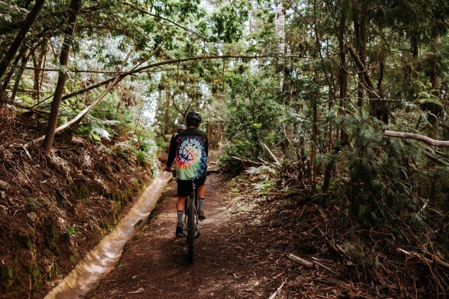 E-Bike Guided Tour - West Side Mountain Biking - Ponta do Pargo lighthouse at the island’s western tip