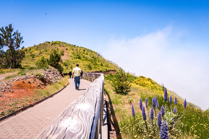 East of Madeira | Full Day 4x4 Tour - Santana’s A-frame houses and lunch with a view