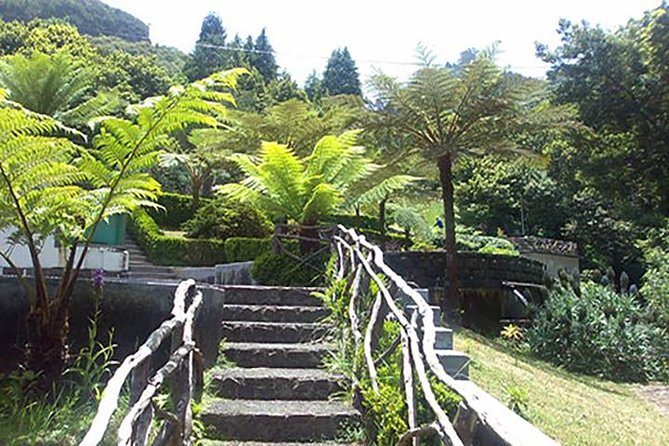 EAST: Pico do Arieiro & Laurissilva Forest - Full Day tour - Ribeiro Frio gives you a short taste of the Laurissilva