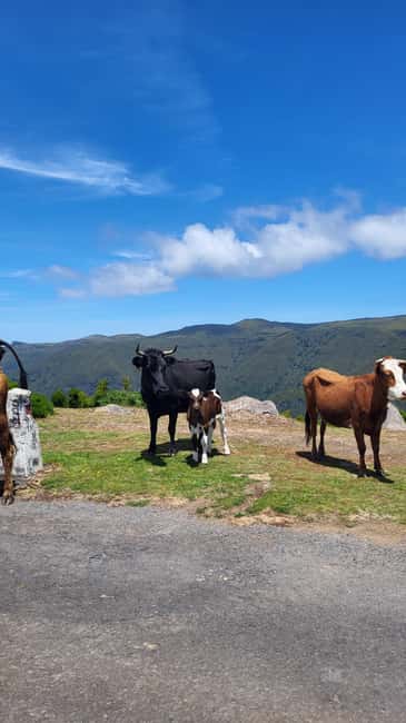 East Side of Madeira – Elegant Alternative to 4x4 Adventures - Miradouro Guindaste And The Glass Ocean View