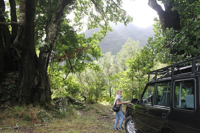 East Tour - 4x4 - Small Group - Miradouro do Guindaste and the north coast