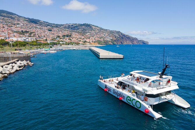 Eco-Friendly Catamaran Dolphin and Whale Watching - Should you book the Magic Dolphin catamaran?