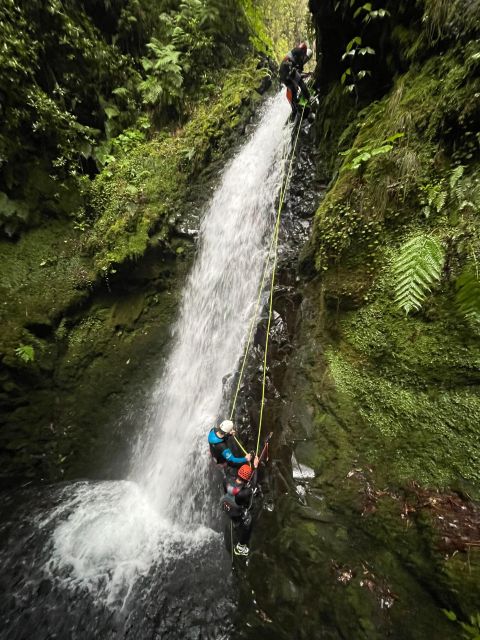 EPIC Madeira Canyoning Level Two - What Level Two canyoning feels like in Madeira