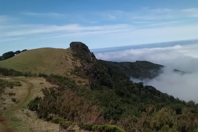 Fanal -Enchanted Forest - Gonçalo’s role makes the difference