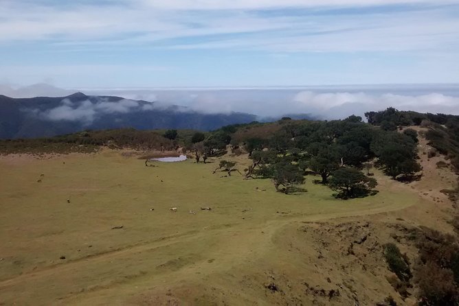 Fanal -Enchanted Forest - What to wear for Madeira’s quick weather changes